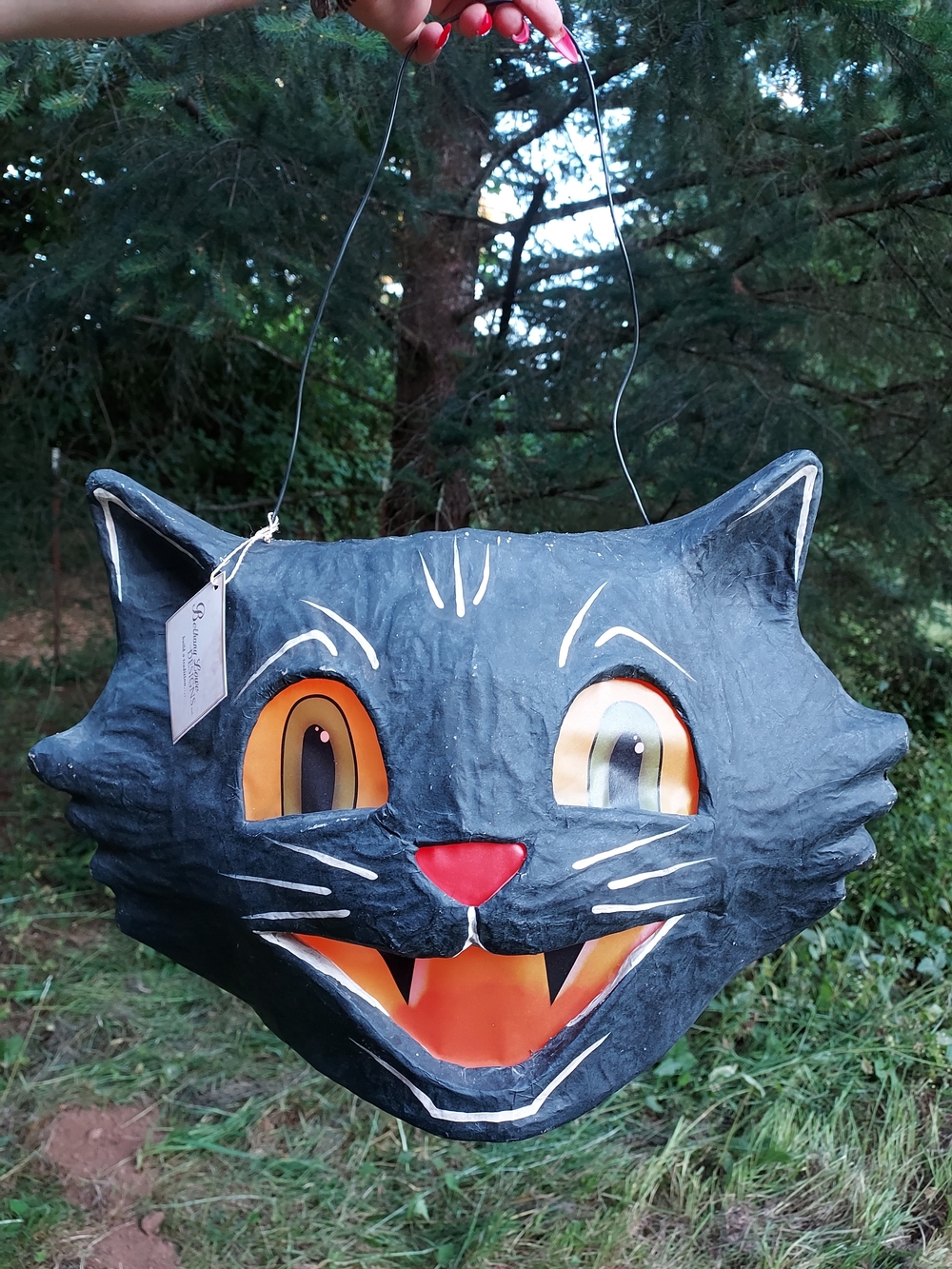 Bethany Lowe Mr Cool Cat - Picture 6 of 6